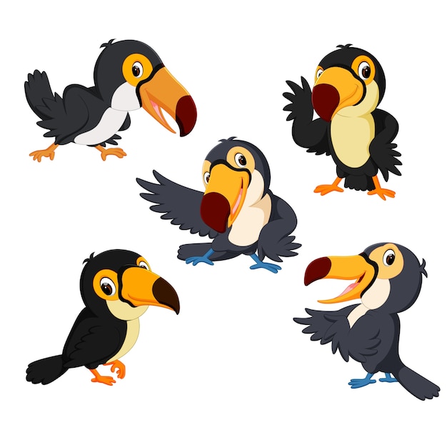 schattige toucan cartoon collectie set