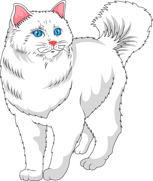 schattige witte kat cartoon