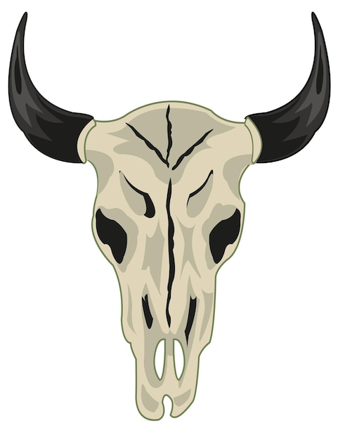 Vector schedel dierlijke koe op witte achtergrond is geïsoleerd