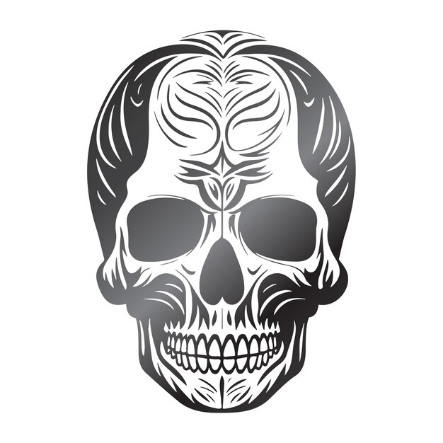 schedel logo