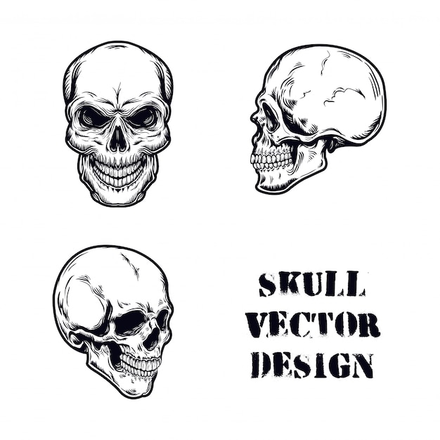 schedel set vectorillustratie