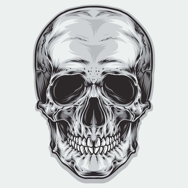 Vector schedel vector logo en illustratie