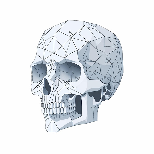 Vector schedellijnkunst geïsoleerd op witte achtergrond vectorillustratie