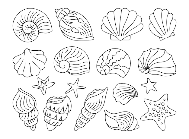 Schelpen doodle hand getrokken set oceaan mariene zeester weekdier conch zinken onder water ontwerp vector