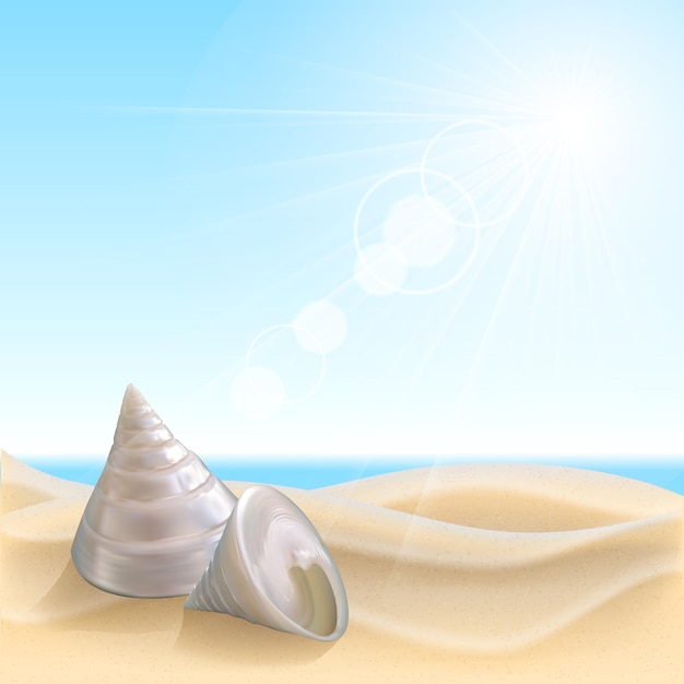 Schelpen op het strand. zomervakantie vector illustratie