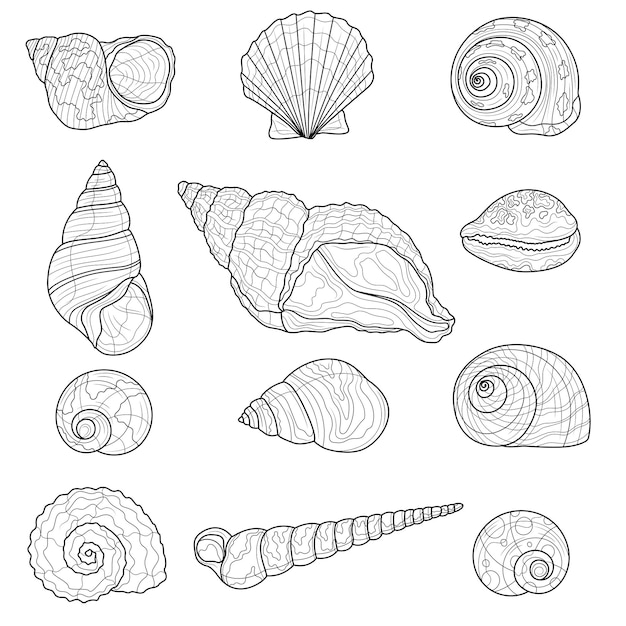 Schelpen set. Kleurboek anti-stressprogramma voor kinderen en volwassenen. Illustratie geïsoleerd op een witte achtergrond. Zen-wirwar stijl. Zwart-wit tekening