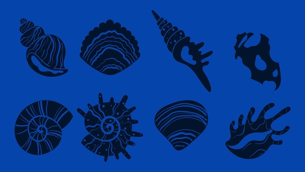 Schelpen zee sterren schelpen weekdieren geïsoleerde set concept grafisch ontwerp illustratie
