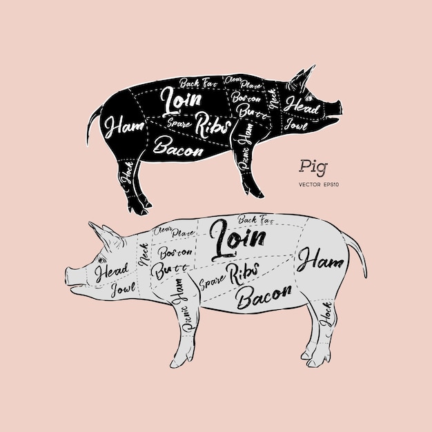 Scheme and guide pork