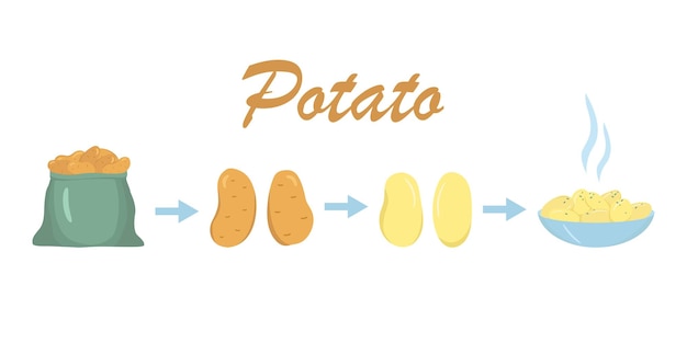 Schema del processo di cottura delle patate lesse