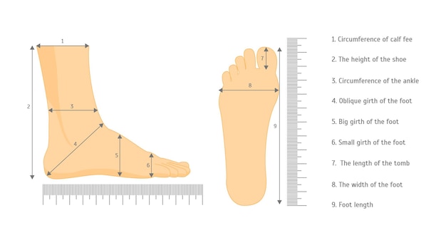 Scheme for Square Measure Human Feet Shoe Size for Business and Sales on White Background. Vector illustration