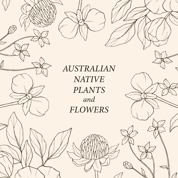 Schets Australische bloemenlijst