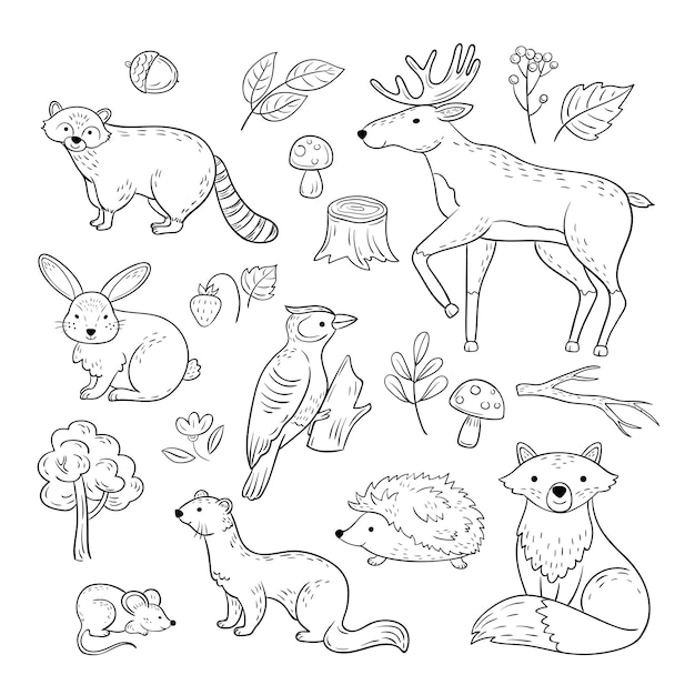 Schets bosdieren. Woodland schattige baby dier wasbeer elanden haas specht egel marter vos kinderen doodle hand getekende set