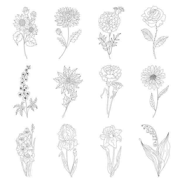 Vector schets floral botany set verscheidenheid bloem- en bladtekeningen zwart-wit met lijntekeningen op een witte achtergrond handgetekende illustraties