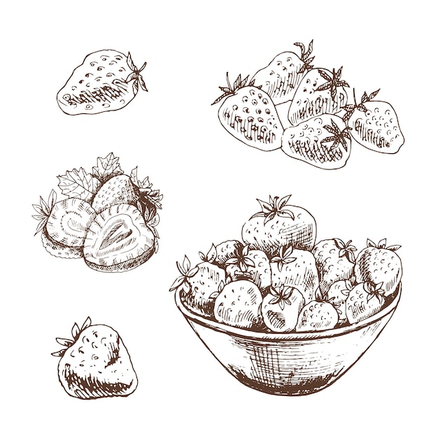 Schets set aardbeien, met de hand getekende illustratie