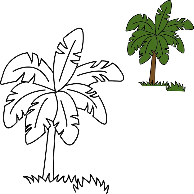 Schets van een tropische palmboom met groene bladeren voor het kleurboek van een kind