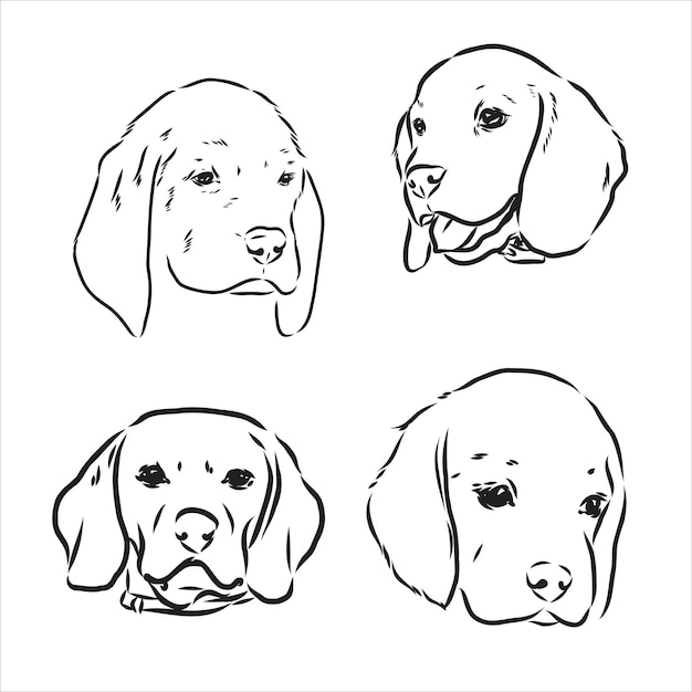 Schets van schattige Beagle Dog. Vector illustratie beagle hond vector schets
