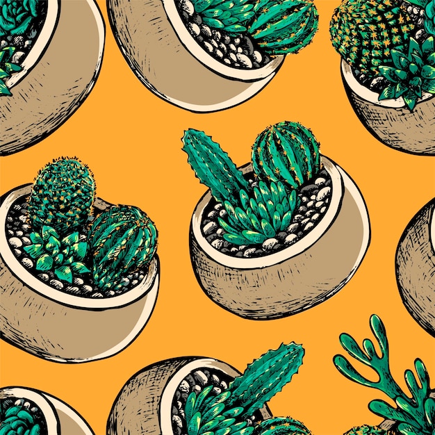 Schetsen van potten met cactussen en vetplanten. Kamerplanten bloemen ornament. Uitstekend vector naadloos patroon. Botanisch ontwerp voor achtergrond, behang, wrap, textiel.