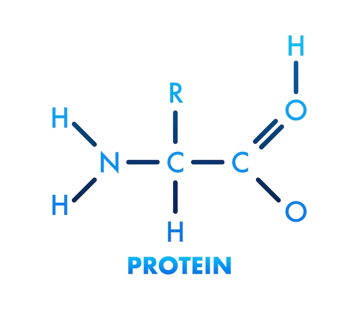 Vector schetspictogram creatieve vectorillustratie eiwit structurele chemische formule
