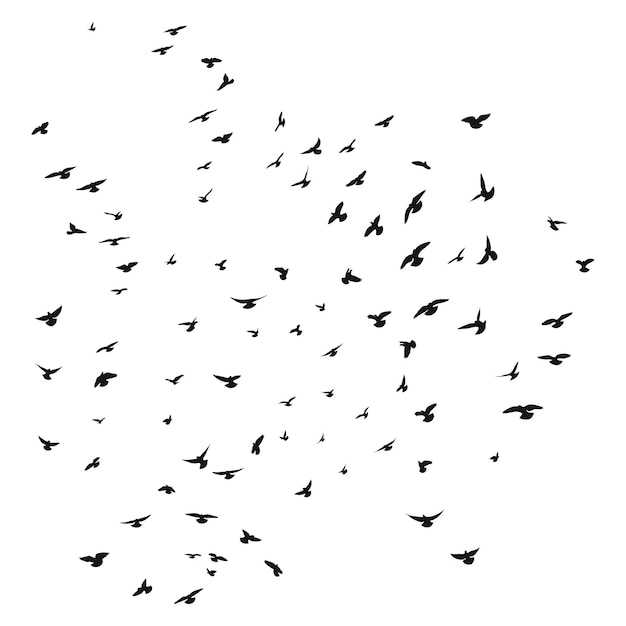 Schetstekening van een silhouet van een zwerm vogels die voorwaarts vliegen, zich aan elkaar vastklampen Start vliegende vlucht