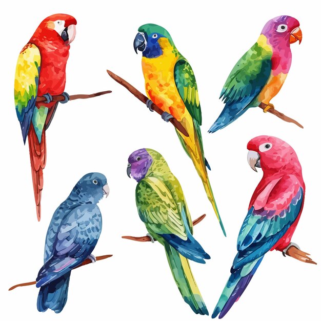 Vector schilderij met vogels