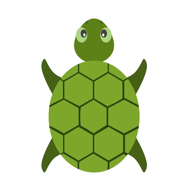 Vector schildpad dier vector illustratie pictogramafbeelding