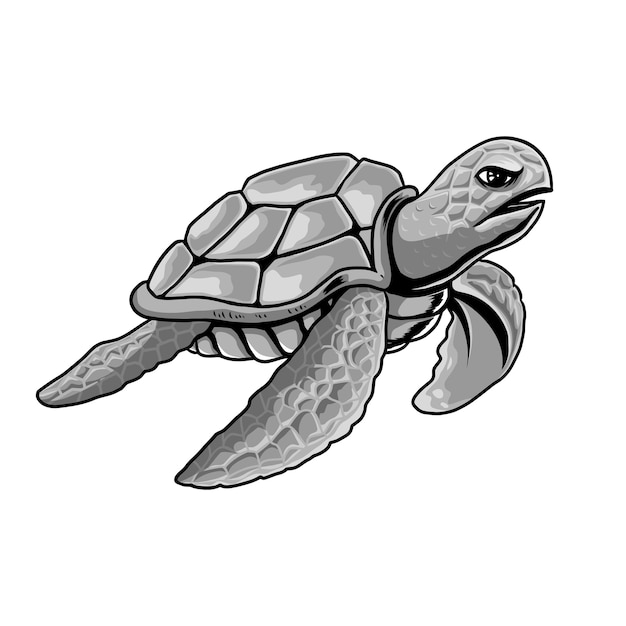 Vector schildpad grijze illustratie