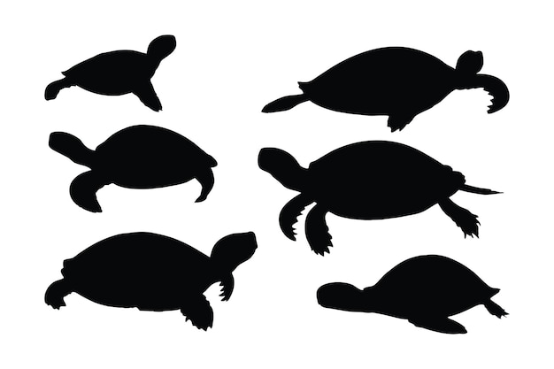 Schildpad kruipen in verschillende posities silhouet set vector volwassen schildpad silhouet collectie op een witte achtergrond prachtige zeedieren zoals schildpadden en schildpadden volledige lichaam silhouet bundels