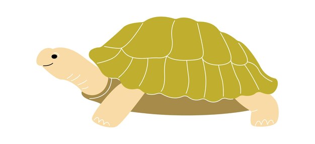 Vector schildpad reptiel dier