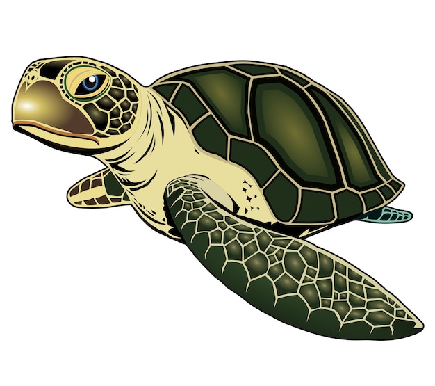 Vector schildpad