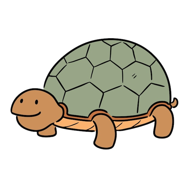 Vector schildpad