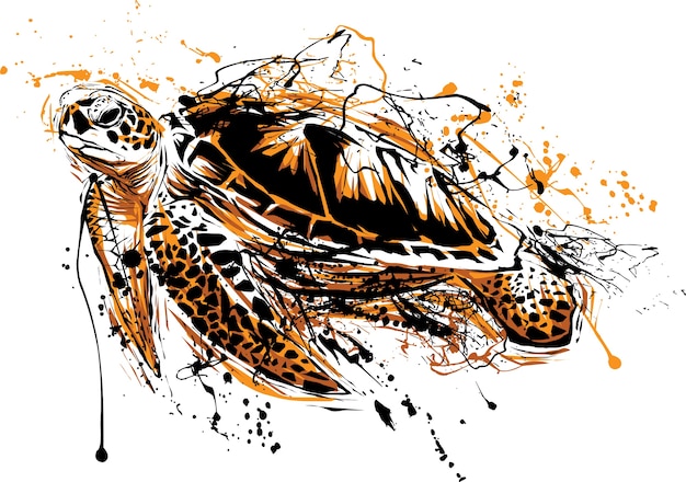 Vector schildpad