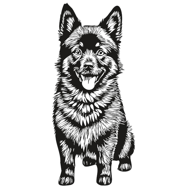 Vector schipperke dog logo vector black and white vintage cute dog head engraved realistic breed pet