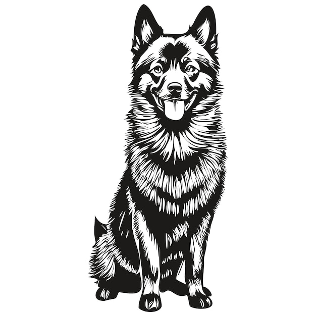 Schipperke dog outline pencil drawing artwork black character on white background realistic pet silhouette