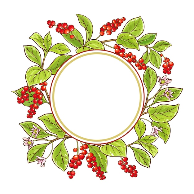 schisandra tak vector frame op witte achtergrond