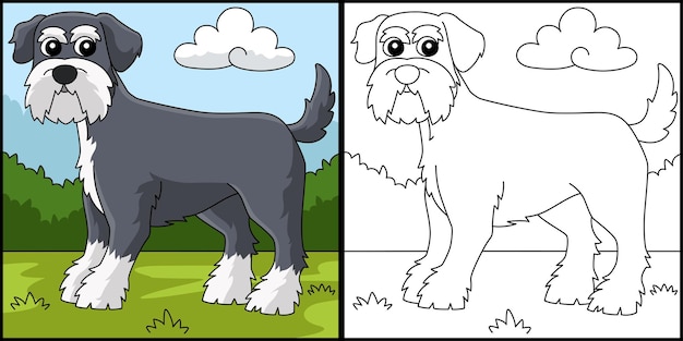 Schnauzer Dog Coloring Page Colored Illustration