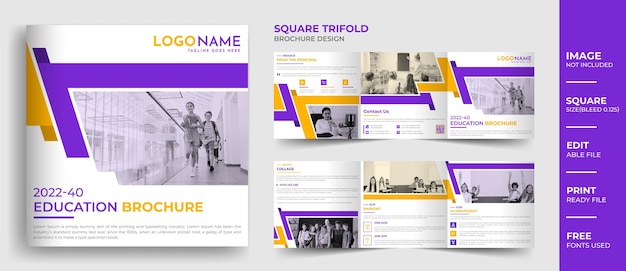 School admission square trifold brochure design, modern education brochure design