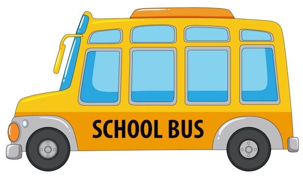 Vector a school bus on white background