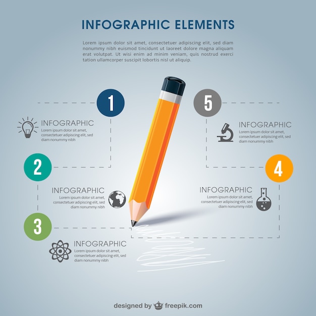 Vector school infographic