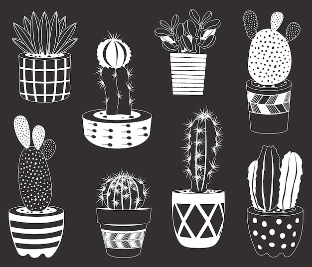 Schoolbord Cactus Potplanten set