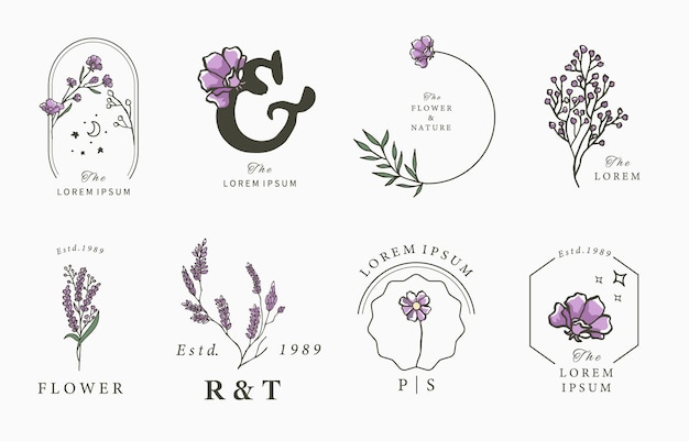 Schoonheid lavendel collectie ontwerp illustratie