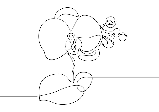 Vector schoonheid vector lotusbloemen ontwerp logo