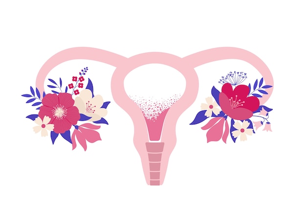 Schoonheid vrouwelijk voortplantingssysteem met bloemen. Hand getekende baarmoeder, baarmoeder vrouwelijk reproductief geslachtsorgaan en bloemen