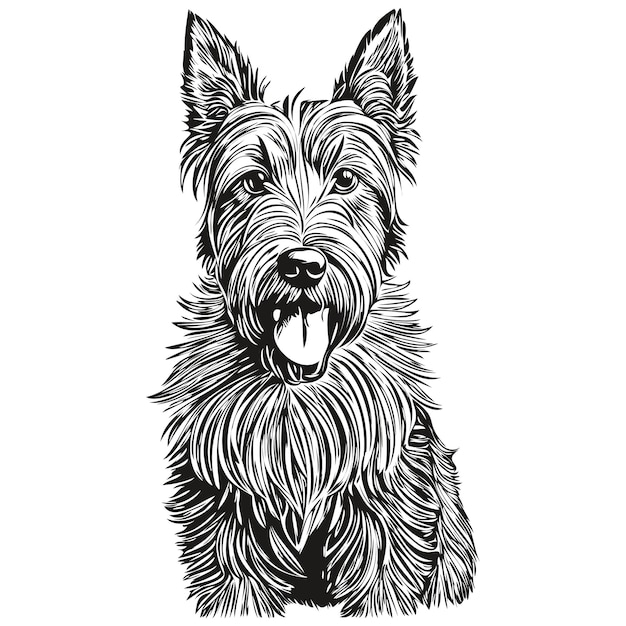 Vector schotse terriër hond cartoon gezicht inkt portret zwart-wit schets tekening tshirt print realistisch ras huisdier