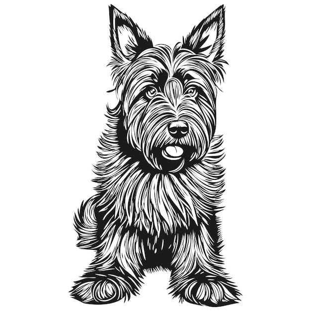 Vector schotse terriër hond inkt schets tekening vintage tattoo of t-shirt print zwart-wit vector realistische ras huisdier