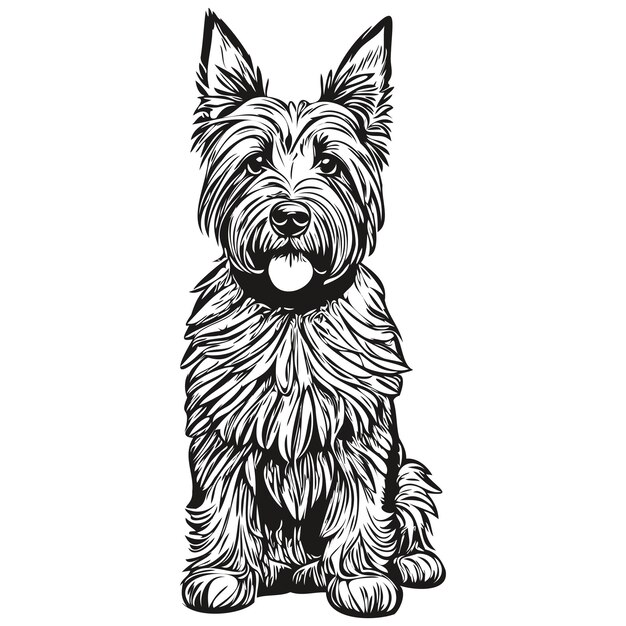 Schotse Terriër hond portret in vector dierlijke handtekening voor tatoeage of tshirt print illustratie realistisch ras huisdier