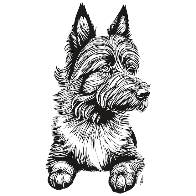Vector schotse terriër hond silhouet huisdier karakter clip art vector huisdieren tekenen zwart-wit realistisch ras huisdier