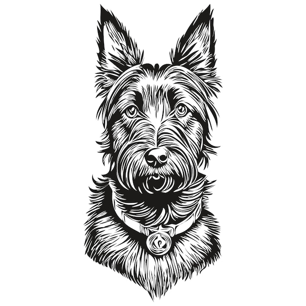 Vector schotse terriër hond t-shirt print zwart-wit leuke grappige omtrek tekenen vector realistische ras huisdier