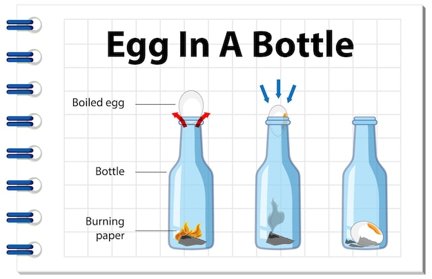 Вектор Научный эксперимент с яйцом в бутылке