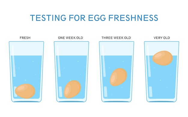 Science experiment with water Testing for egg freshness