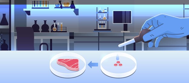 벡터 쇠고기 스테이크와 함께 페트리 접시에 플라스크에서 액체 한 방울을 추가하는 과학자 동물 세포 인공 실험실 재배 육류 생산 개념 실험실 내부 수평 벡터로 만든 원시 붉은 고기 배양